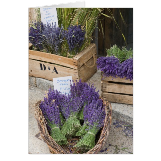 Lavendar for sale, Provence, France (Devant)