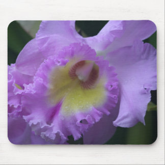 Lavendar Iris Mousepad Muismat