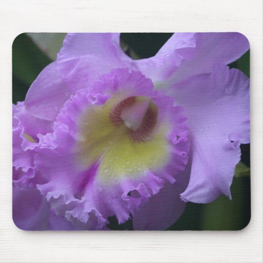 Lavendar Iris Mousepad Muismat (Voorkant)