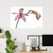 Lavendar Paarse Orchid Poster (Thuiskantoor)