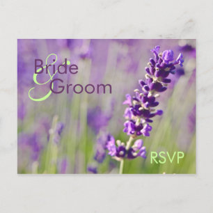 Lavendar · RSVP-Briefkaart Uitnodiging Briefkaart