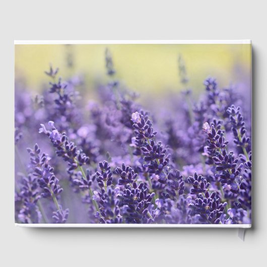 Lavendel begrafenis gastenboek | In liefdevolle he (Achterkant)