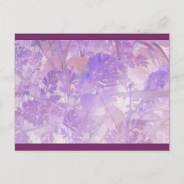 Lavendel Bloemen Briefkaart