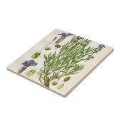lavendel Botanische Afdruk Tegeltje (Zijkant)