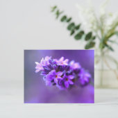 Lavendel Briefkaart (Staand voorkant)