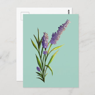 Lavendel Briefkaart