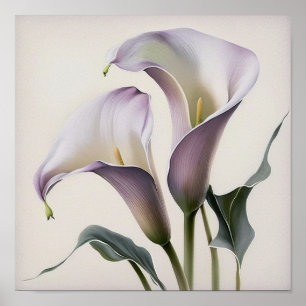Lavendel Calla Lilies Lily Flower Art Print Poster