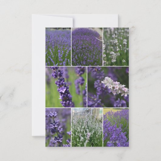 Lavendel Collage 2 Notitiekaartje (Voorkant)
