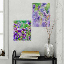Lavendel Dreamscapes: een duet van Paarse serenite