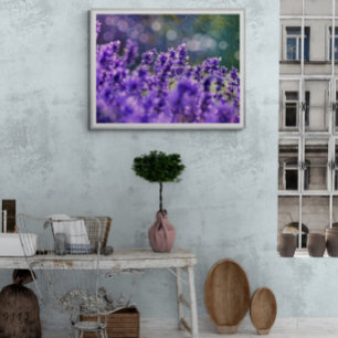 Lavendel dromen foto afdruk