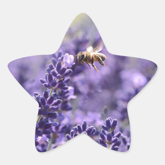 Lavendel en bijen ster sticker (Voorkant)