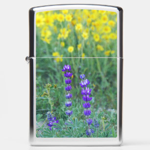 Lavendel en gele zonnebloem