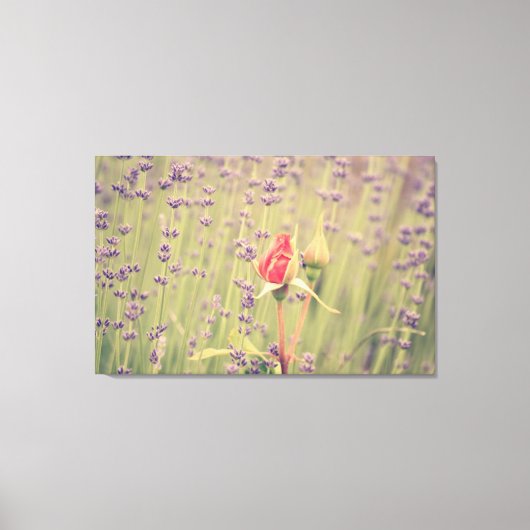 Lavendel en Roos Canvas Afdruk (Voorkant)