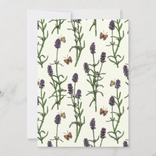 Lavendel en vlinders op gebroken wit