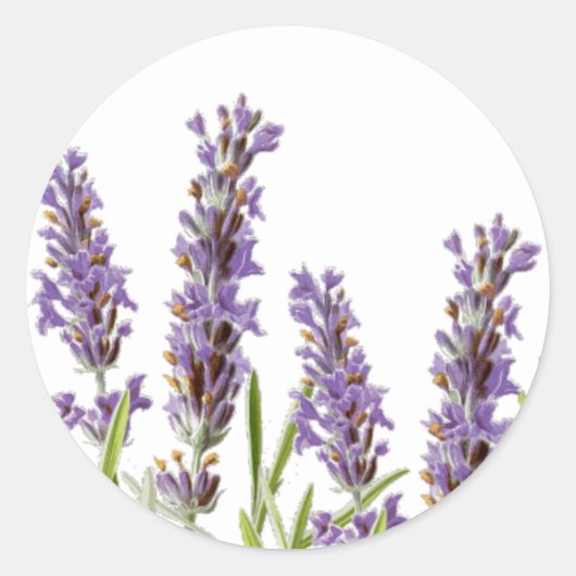 Lavendel Envelope Seal Sticker (Voorkant)