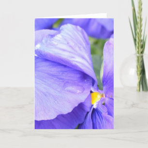 Lavendel Genot Bedankkaart