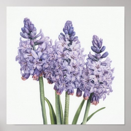 Lavendel Hyacint Bloemenkunst Print Poster (Voorkant)