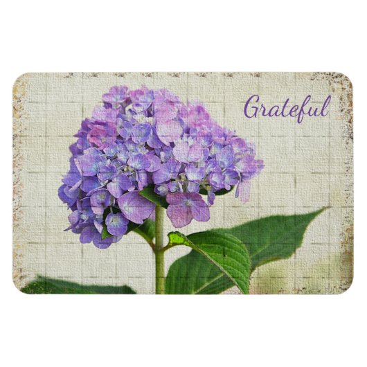 Lavendel Hydrangea Dankbaarheid Magneet (Horizontaal)