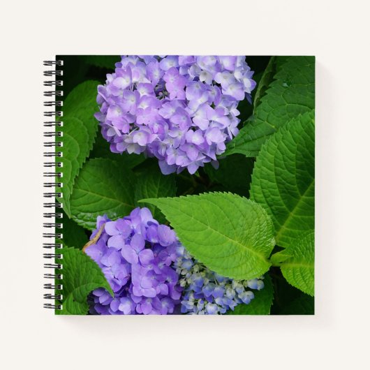 Lavendel Hydrangea Notitieboek (Voorkant)