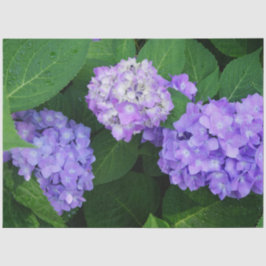 Lavendel Hydrangea Tissuepapier