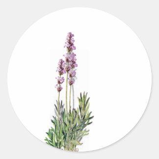 Lavendel in Bloom kaart / letter seal stickers
