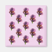 Lavendel Irissen...... Magneet (Voorkant)