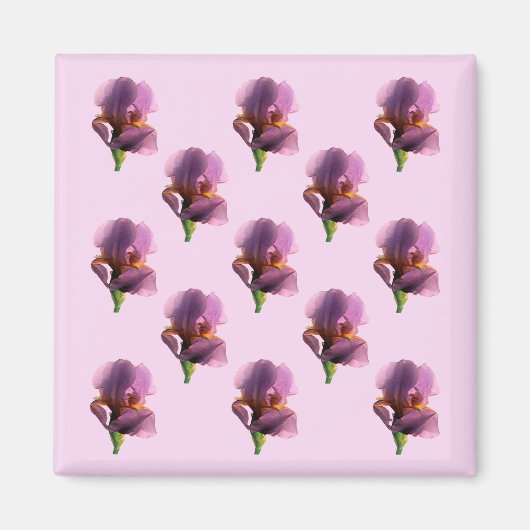 Lavendel Irissen...... Magneet (Voorkant)