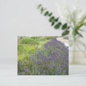 Lavendel Landschap DIY Briefkaart (Staand voorkant)