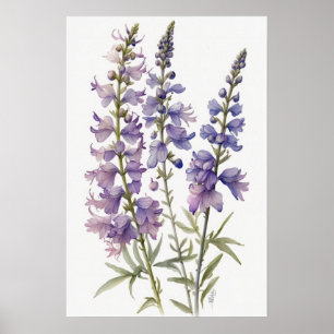 Lavendel Larkspur Flower Art Print Poster