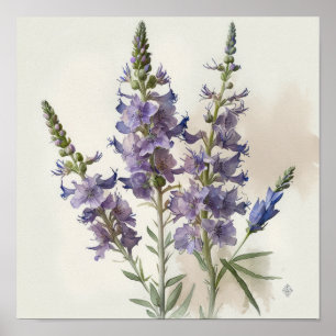 Lavendel Larkspur Flower Art Print Poster