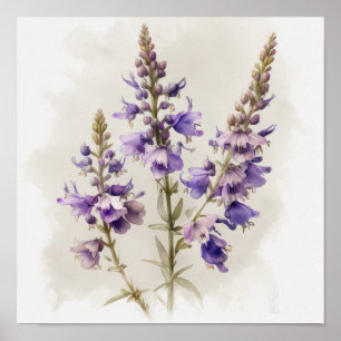 Lavendel Larkspur Flower Art Print Poster