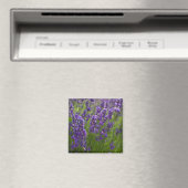 Lavendel | Lavendel Magneet (Insitu (Vaatwasser))