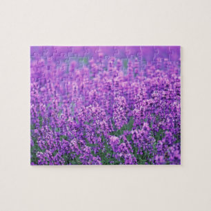 Lavendel Legpuzzel