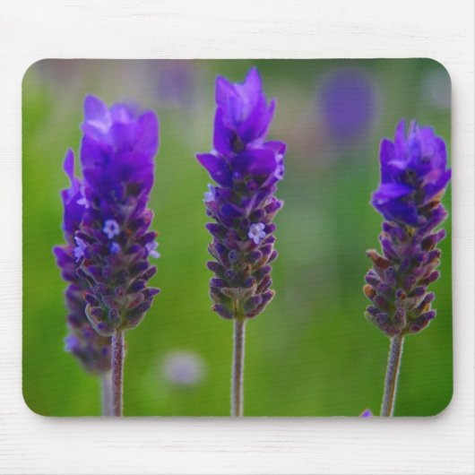 lavendel muismat (Voorkant)