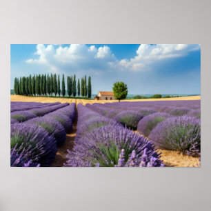 Lavendel Natuur Buiten Landschap Kalm Vredig Poster