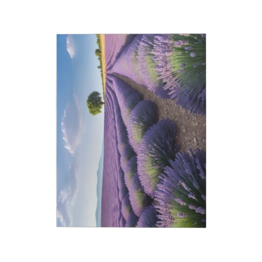 Lavendel Natuur Buitenlandschap Rustig Rustig Notitieblok (Gedraaid)