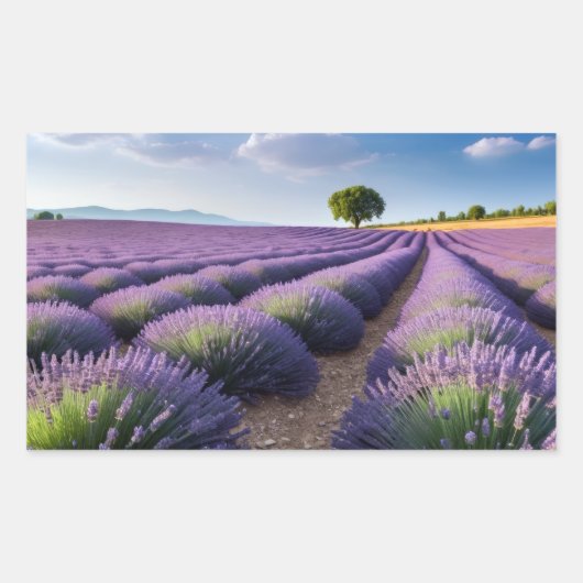 Lavendel Natuur Buitenlandschap Rustig Rustig Rechthoekige Sticker (Voorkant)