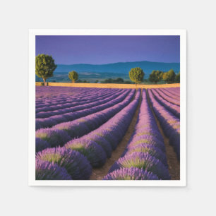Lavendel Natuur Buitenlandschap Rustig Rustig Servet