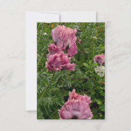Lavendel Oosterse papaver Notitiekaartje