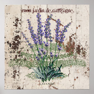 Lavendel op rustieke houten paneel poster