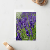 Lavendel Patch Notitiekaartje (Voorkant / Achterkant in situ)