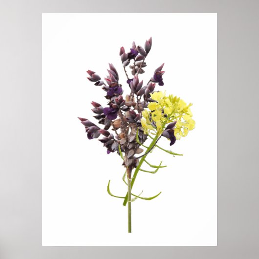 lavendel poster (Voorkant)