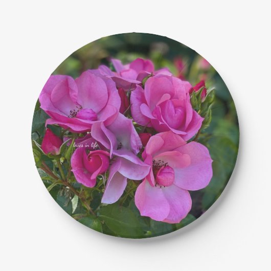 lavendel Roze Roos Papieren Bordje (Voorkant)