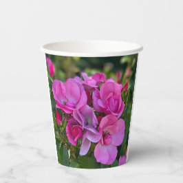 Lavendel Roze Rose Papieren Bekers