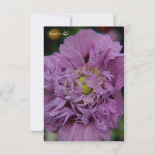 Lavendel Ruffly Poppy Notitiekaartje