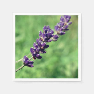 Lavendel Stalk fotopapier servetten