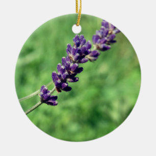 Lavendel Steel Foto Cirkel Ornament