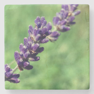 Lavendel Steel Foto Marmeren Stenen Onderzetter