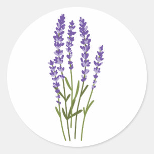 Lavendel stickers waterverf Bloemen Kruiden