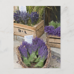 Lavendel te koop, Provence, Frankrijk Briefkaart